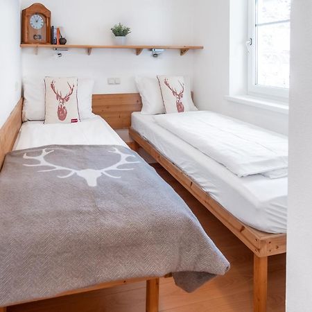 Schmitten & Cityxpress Apartment 1 And 2 ツェル アム ゼー エクステリア 写真