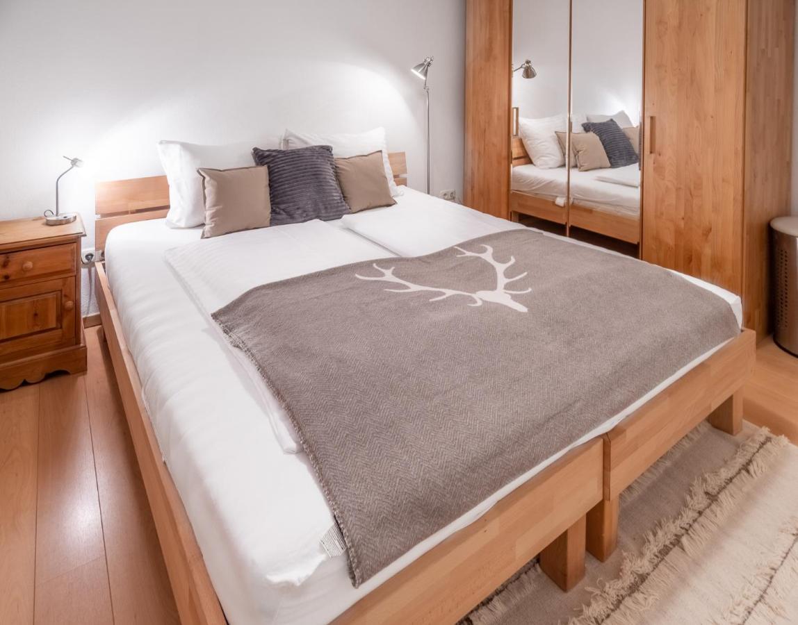 Schmitten & Cityxpress Apartment 1 And 2 ツェル アム ゼー エクステリア 写真