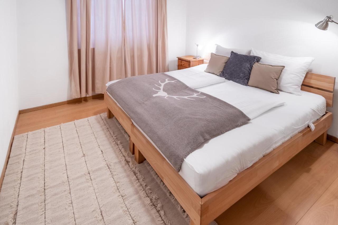 Schmitten & Cityxpress Apartment 1 And 2 ツェル アム ゼー エクステリア 写真