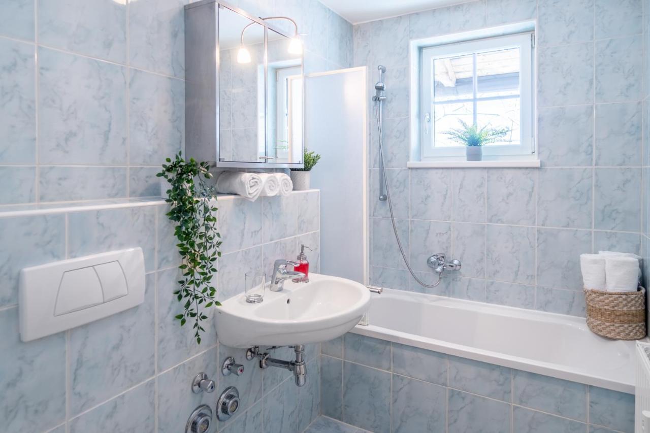Schmitten & Cityxpress Apartment 1 And 2 ツェル アム ゼー エクステリア 写真